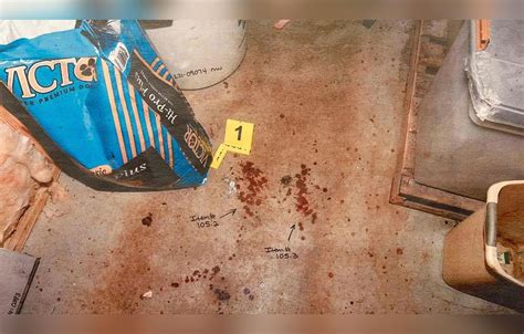 murdaugh murder crime scene pictures|Alex Murdaugh Trial: Gruesome Crime Scene Photos。